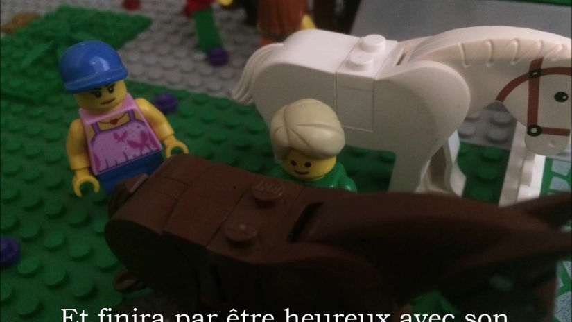 La Frustration avec les Poneys